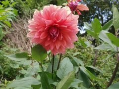 -藏龙百瀑风景区