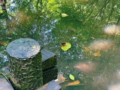 -杭州半山国家森林公园