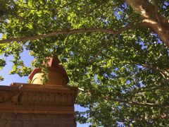 -朝阳公园游乐园