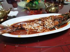 -金台阶鱼馆(于桥水库店)