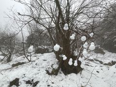 -九峰山
