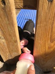 -萌宠亲子动物乐园(槐房万达店)