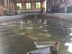 -宁波杭州湾海底温泉