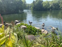 -西郊宾馆·1921餐厅