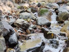 -云岫谷游猎自然风景区