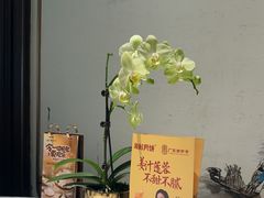 -顺德渔村(南山店)