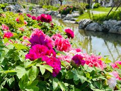 -上海滨江森林公园