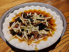 -老号尤兔头(幸福店)