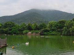 -无锡动物园·太湖欢乐园