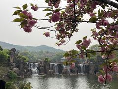 -白马涧龙池景区