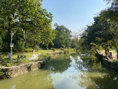 -广西壮族自治区药用植物园