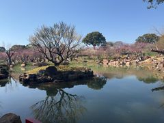 -无锡梅园公园