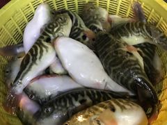-阿钦大排档
