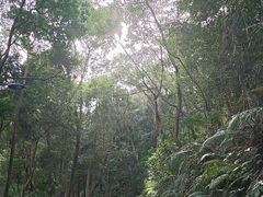 -广州市帽峰山景区