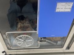-申普宠物医院·心脏介入·心血管微创(总院)
