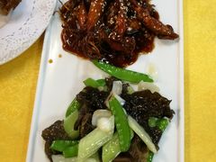 -鸽王世家(东华东路店)