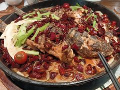 -老板恋上鱼(振华商厦店)