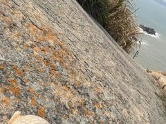 -阿军排档·烧烤