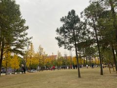 -美兰湖景区