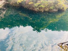 -崂山九水游览区