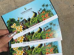 -呀路古热带植物园