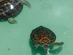 -常州海昌海洋探索馆