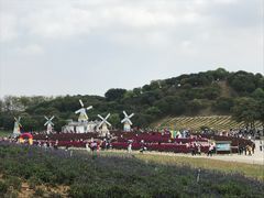 -松山湖梦幻百花洲