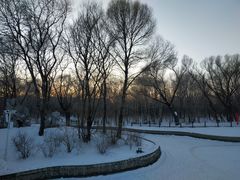 -平房公园