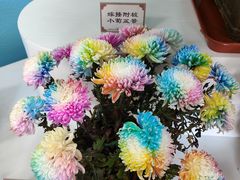 -陶然亭公园