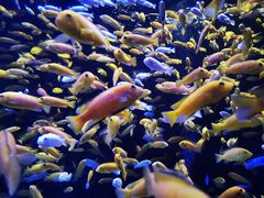 -成都浩海立方海洋公园