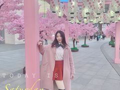 -金茂览秀城