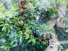 -石家庄市动物园