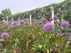 -苏州上方山国家森林公园