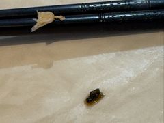 -牛鼎记潮汕牛肉火锅(阳朔店)