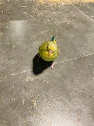 -酷嗒动物文化乐园(cutezoo西溪乐天城店)