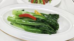 -侒悦缦月子中心·疗愈园区(龙岗店)
