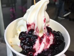 -JW德国冻酸奶Frozen Yogurt(龙湖成都滨江天街店)