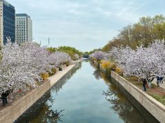 -元大都城垣遗址公园