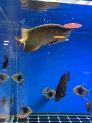 -青木造型HAIR·あおき髪を刈る潮人店