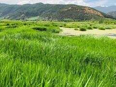 -泸沽湖国家级风景名胜区走婚桥