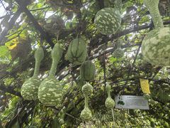 -中国天府农业博览园