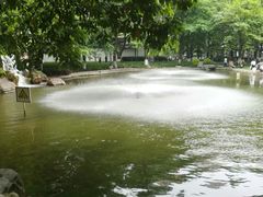 -温江公园