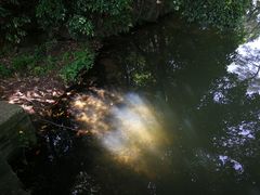 -溪口-滕头旅游景区