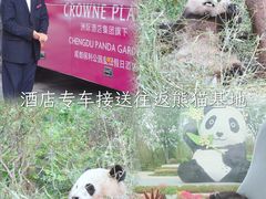 -成都保利公园皇冠假日酒店(熊猫基地店)