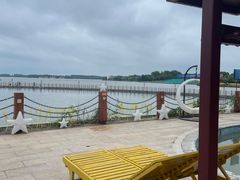 -溱湖国家湿地公园