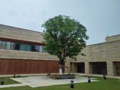 -盘龙城国家考古遗址公园