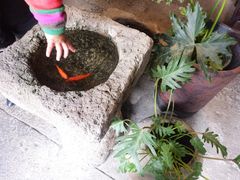 -星巴克(浙江省人民医院店)