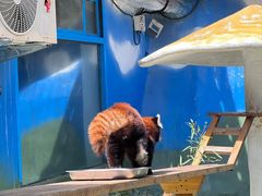 -栾川竹海野生动物园