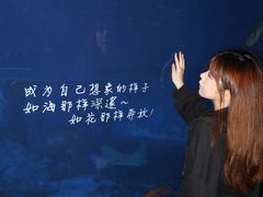 -南昌融创海世界