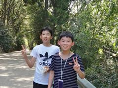 -平湖九龙山旅游度假区